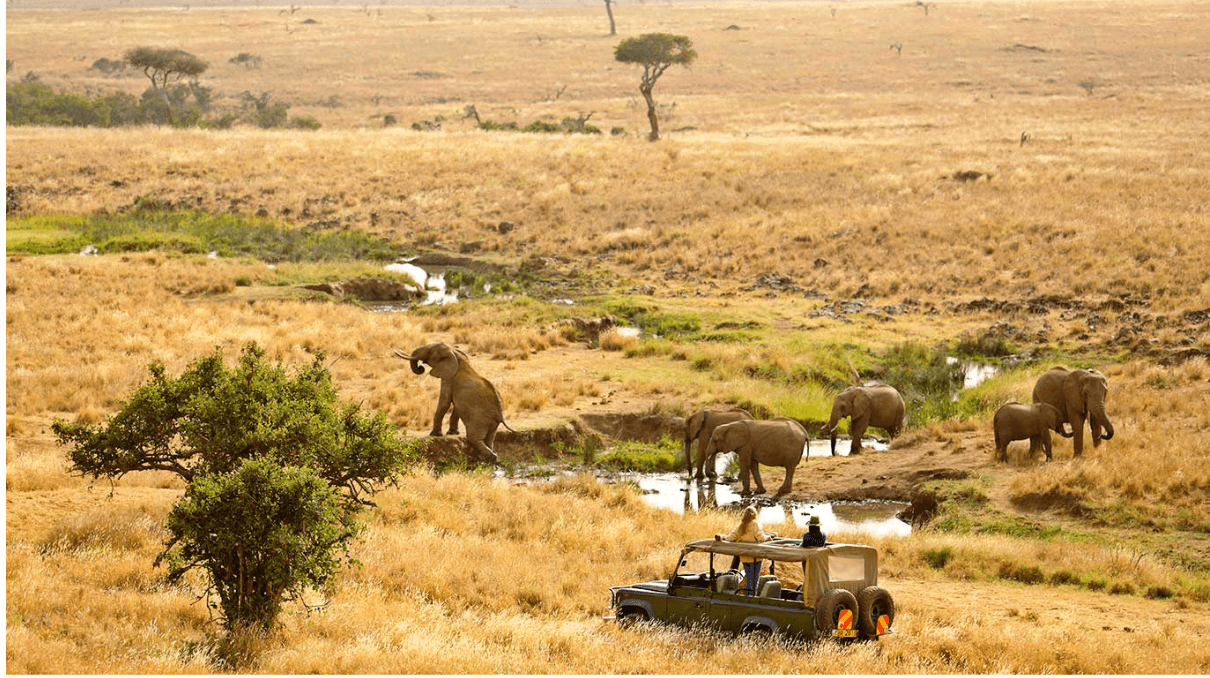10 Best Safari Destinations In Africa