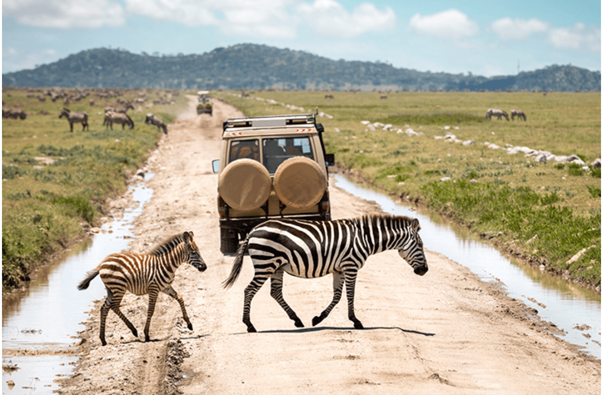 serengeti national park