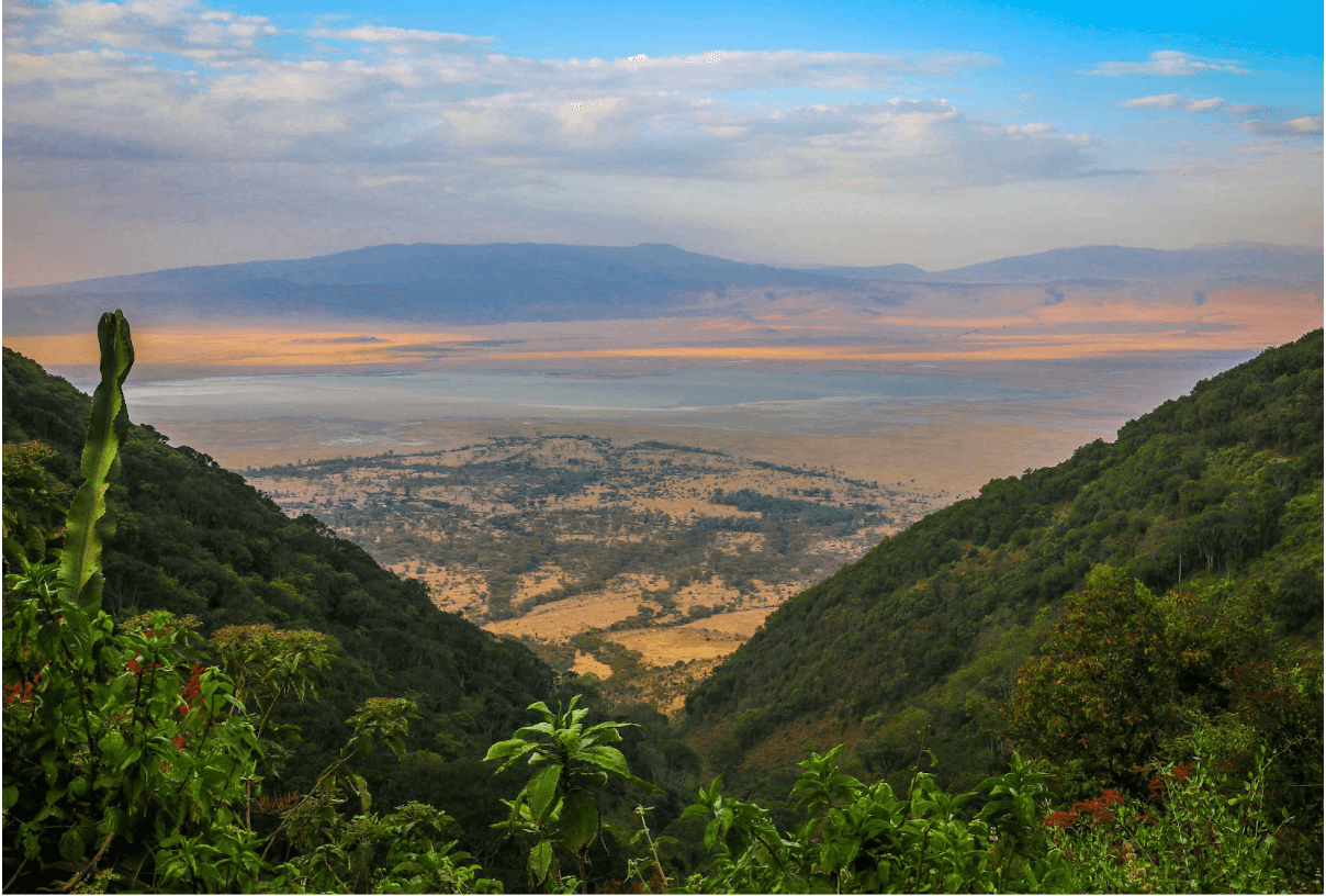 Ngorongoro