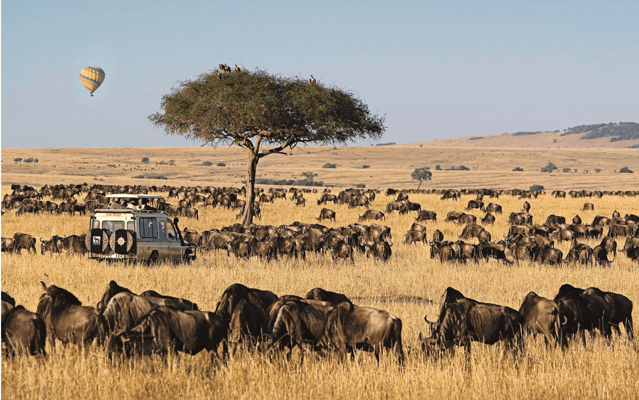 Things to do in Kenya