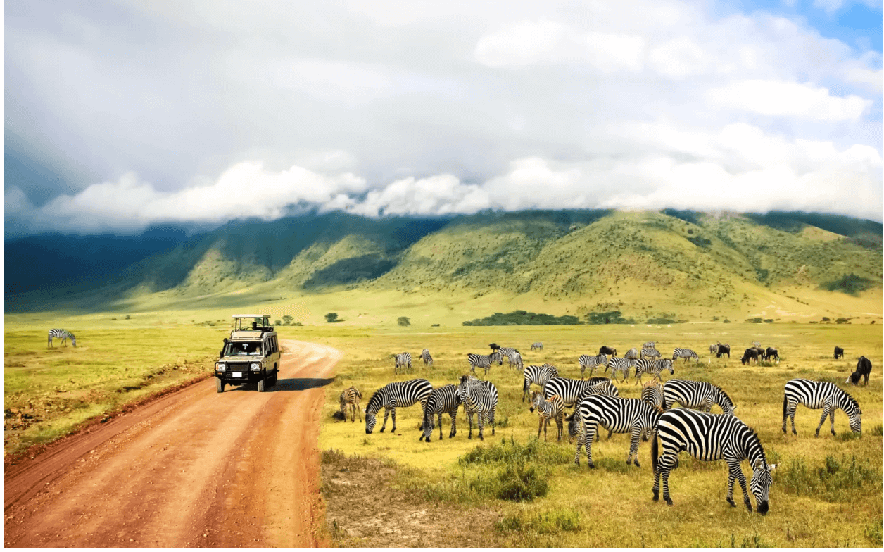 Best Time To Visit Tanzania