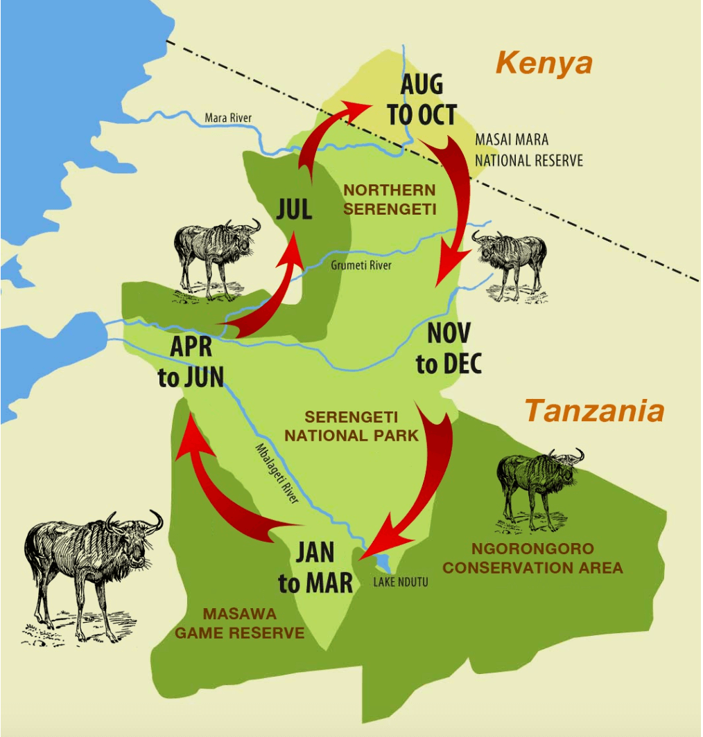 What is the best time to visit Tanzania?