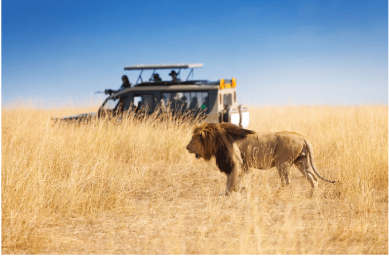 10 0 Best Safari Destinations In Africa